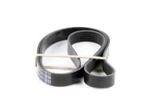 DAYCO 6PK1558