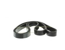 GOODYEAR 6PK1600