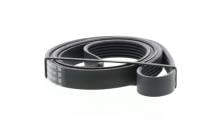 DAYCO 6PK1815
