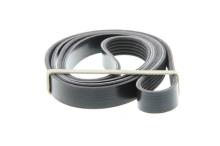 DAYCO 6PK1975