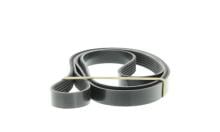 DAYCO 6PK2170