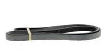 CONTITECH 6PK2445