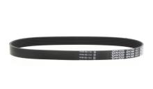 DAYCO  6PK698