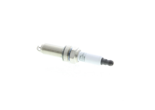 Butée hydraulique Coupé