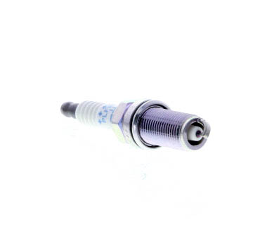 Butée hydraulique Coupé