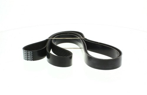 Courroie trapézoïdale à nervures DAYCO 7PK1975