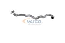 VAICO V20-2892