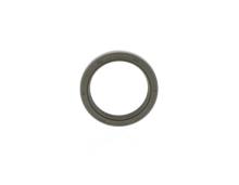 REINZ 81-36233-00