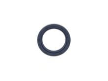 REINZ 81-53243-00