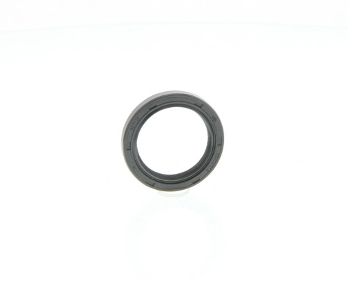 Bague d'étanchéité REINZ 81-53252-00 Bague d'étanchéité REINZ 81-53252-00