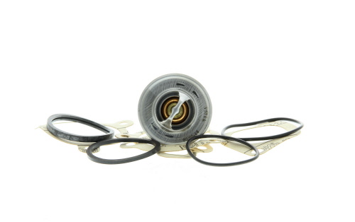 Thermostat d'eau (Calorstat) VALEO 819847