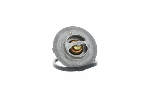 Thermostat d'eau (Calorstat) VALEO 819900