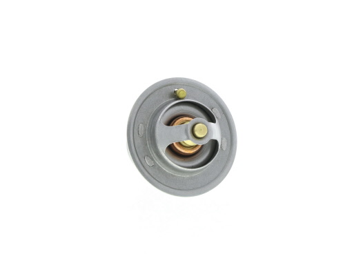 Thermostat d'eau (Calorstat) VALEO 820181