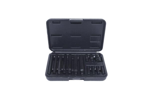 Embouts Ribes KS TOOLS 911.4306