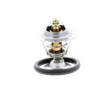 VALEO 820487