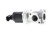 Lizarte, S.A. EGR002