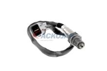 ACKOJA A53-76-0012