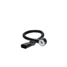 DELPHI AS10206