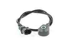 DELPHI AS10209