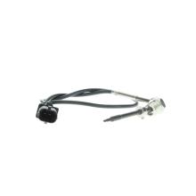 DELPHI TS30006
