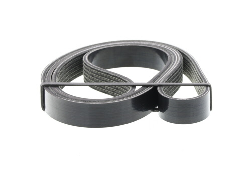 Correa trapezoidal nervada DAYCO ref. 6PK1555S