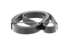 DAYCO 6PK1555S