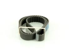DAYCO  94019
