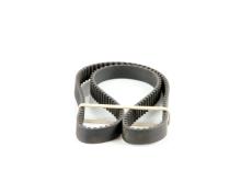 DAYCO  94198