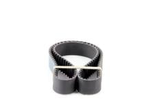 DAYCO  94461