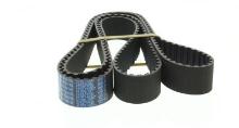 DAYCO  94755