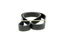 DAYCO  94801