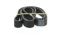 DAYCO  94808