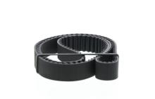 DAYCO  94843