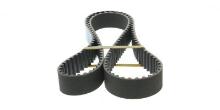 DAYCO  94847