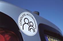 CARLINEA 463264