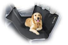 ANIMALS & CARS 170006