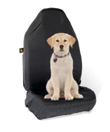 ANIMALS & CARS 170007