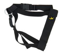 ANIMALS & CARS 170020