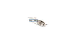 WALKER 19691