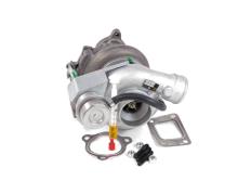 Turbo's Hoet 1100246