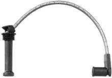 CHAMPION  CLS074