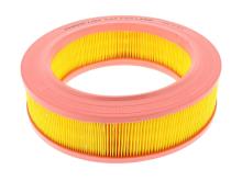 CHAMPION  CAF100149R