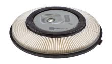 CHAMPION  CAF100247R