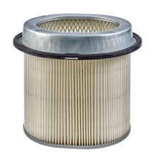 CHAMPION  CAF100436C