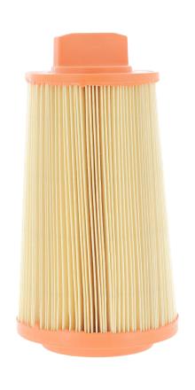 CHAMPION  CAF100464C