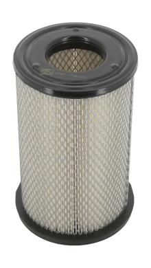 CHAMPION  CAF100491C