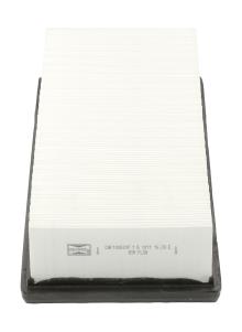 CHAMPION CAF100501P