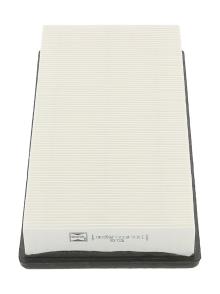 CHAMPION  CAF100506P