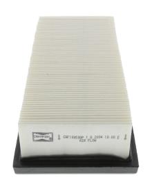 CHAMPION  CAF100508P
