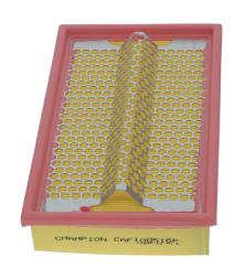 CHAMPION  CAF100516P